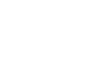 aidigger-logo